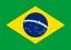 BRAZIL flag