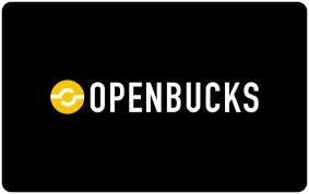 معرفی جامع gift card OpenBucks | گیفت استاپ